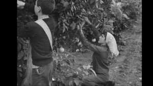 יומן הקיבוץ המאוחד מס' 28 - גדות לירדן — foto 2