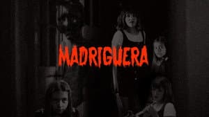 Madriguera — foto 1