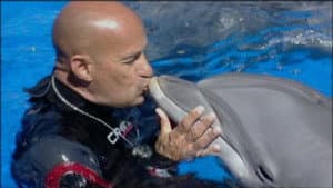 ¿Qué le pasó al rey de los delfines? — foto 2