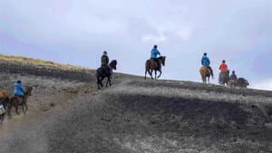 Islande, la quête des origines — foto 2