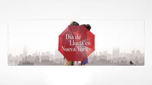 Un día lluvioso en Nueva York — foto 8