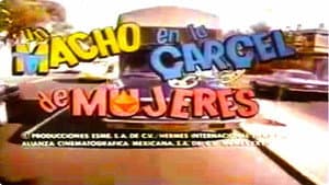 Un macho en la cárcel de mujeres — foto 1