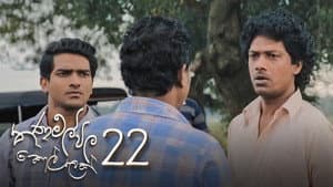 Episodio 22