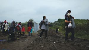 Last Shelter — foto 2