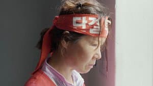 갈매기 — foto 1