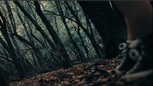 Alice Was My Name — foto 5