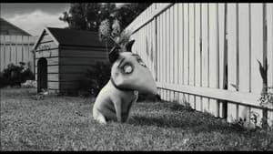 Miniatures in Motion: Bringing Frankenweenie to Life — foto 1