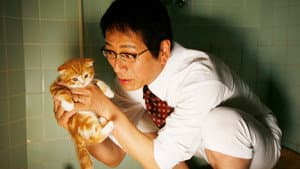 ネコナデ — foto 2