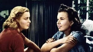 Gambling Daughters — foto 1