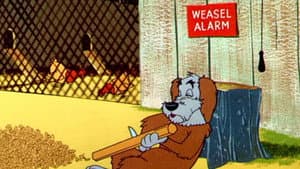 Weasel Stop — foto 1