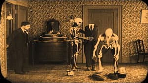 Buster Keaton: The Shorts Collection 1917-1923 — foto 1