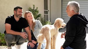Episodio 8