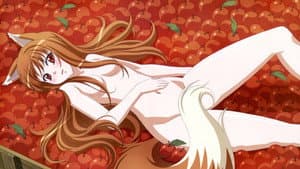 Spice and Wolf — foto 4