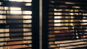 A Place to Hide — foto 3