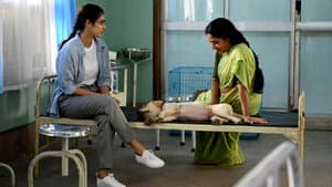 మీట్‌ క్యూట్‌ — foto 4