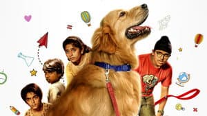 ஷாட் பூட் த்ரீ — foto 6