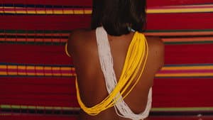 El último bosque — foto 3