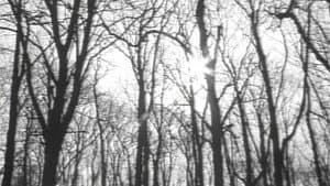 カイエ — foto 2