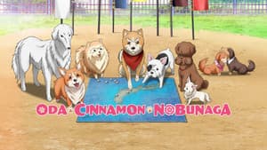 Oda Cinnamon Nobunaga — foto 4