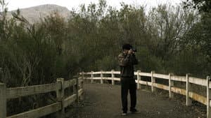 The Certain Image — foto 1