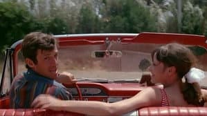 Pierrot le fou — foto 4