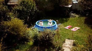 Les Vacances à Chelles — foto 3