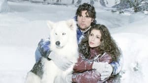 To Brave Alaska — foto 2