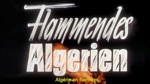 Algérie en flammes — foto 4