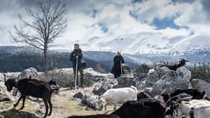 Episodio 4