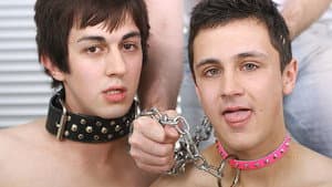 Boynapped Collection: Pup Play Volume 1 — foto 1