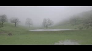 Tekbetek — foto 1