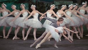 Swan Lake — foto 1