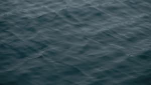 Stille — foto 2