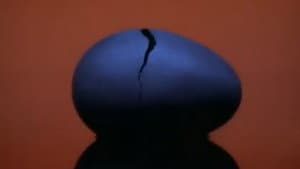 Egg — foto 7