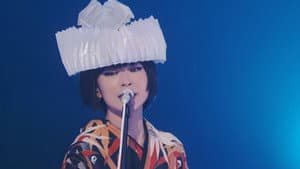 椎名林檎と彼奴等がゆく 百鬼夜行2015 — foto 3