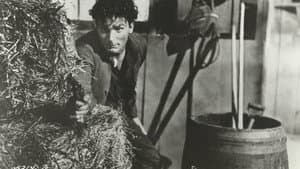 Son of Belle Starr — foto 1