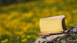Fromages de montagne, au sommet du gout ? — foto 2