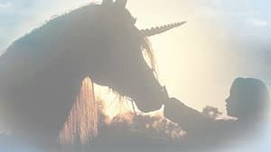 The Little Unicorn — foto 2
