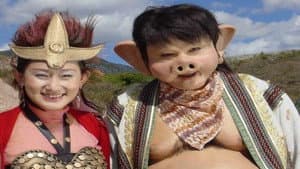 喜气洋洋猪八戒 — foto 1