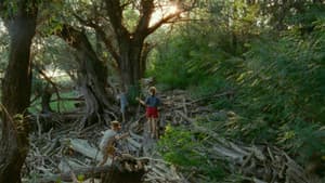 Short Summer — foto 3