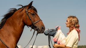 Pferd am Stiel — foto 1
