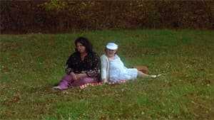 Polyester — foto 2