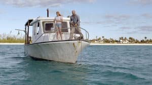 Dolphin Island — foto 6