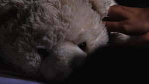 El Oso — foto 1