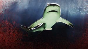 Raging Bull Shark — foto 1
