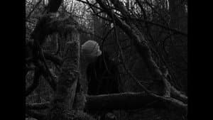 Paradise Lost — foto 1