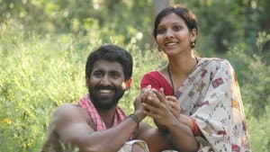 திட்டிவாசல் — foto 2