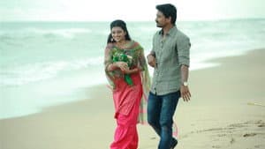 பண்டிகை — foto 8