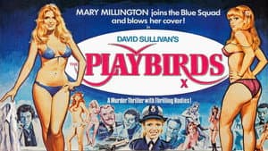 The Playbirds — foto 3