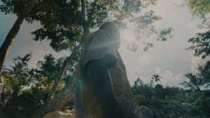 Harmoni di Lembah Grime — foto 3